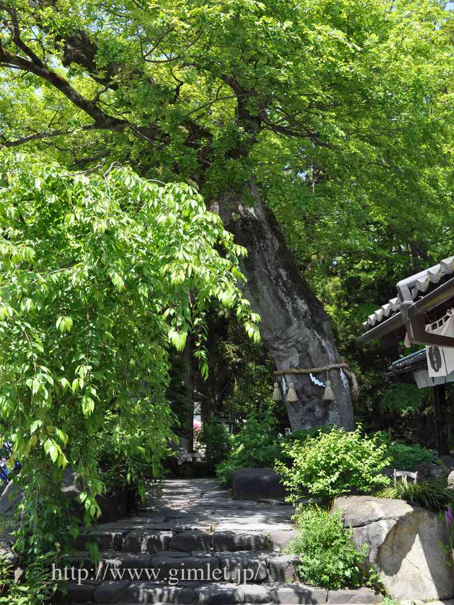 近江八幡〜八幡堀写真 二