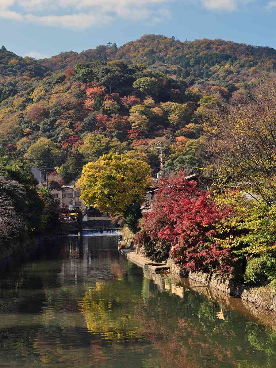 日本風景写真「紅葉の嵐山」