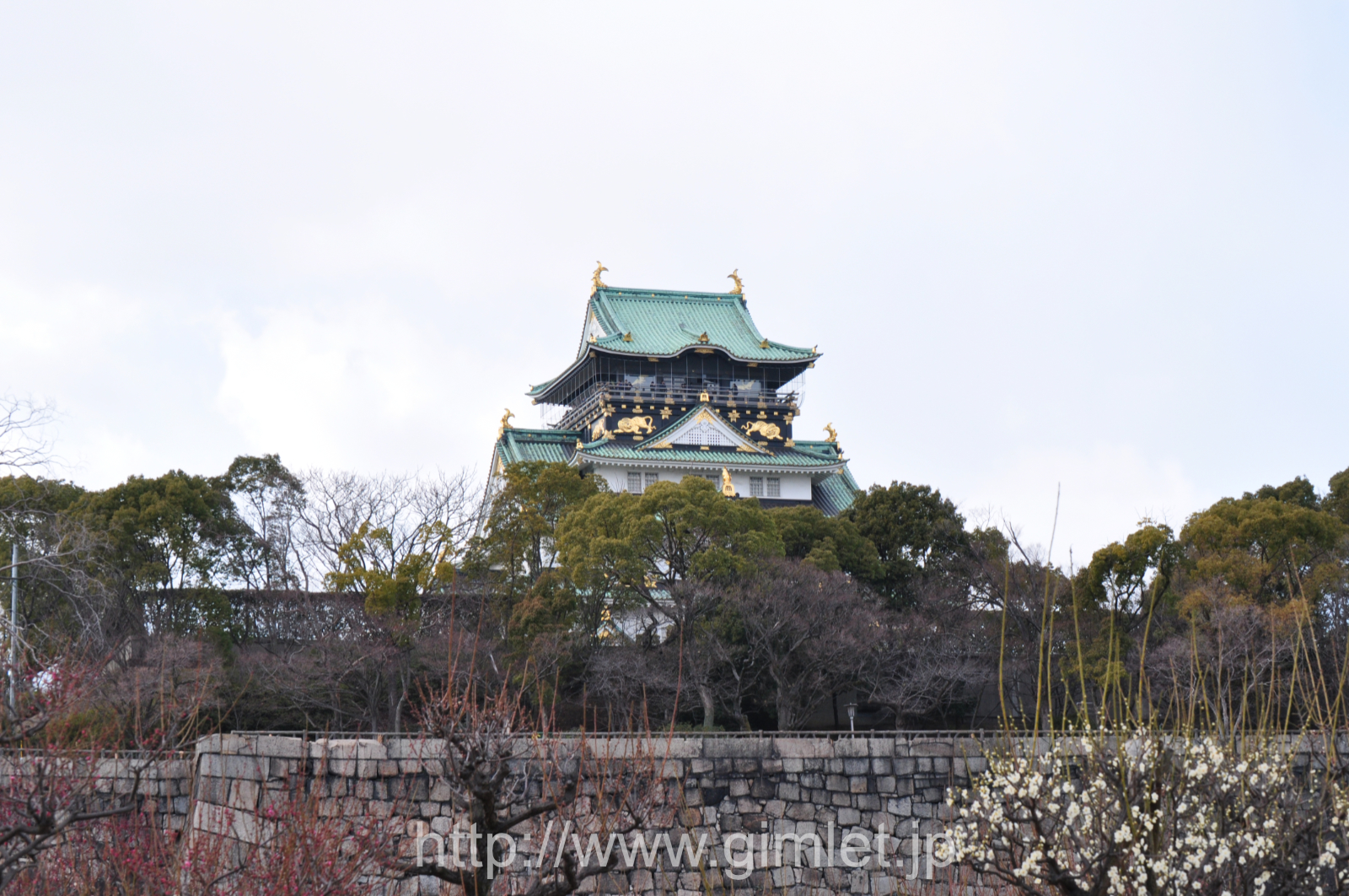 「大坂城と梅園」梅花写真三