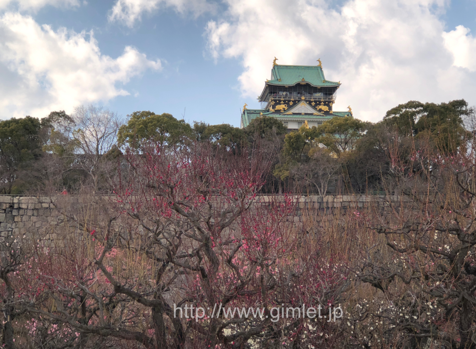 大坂城と紅白梅8