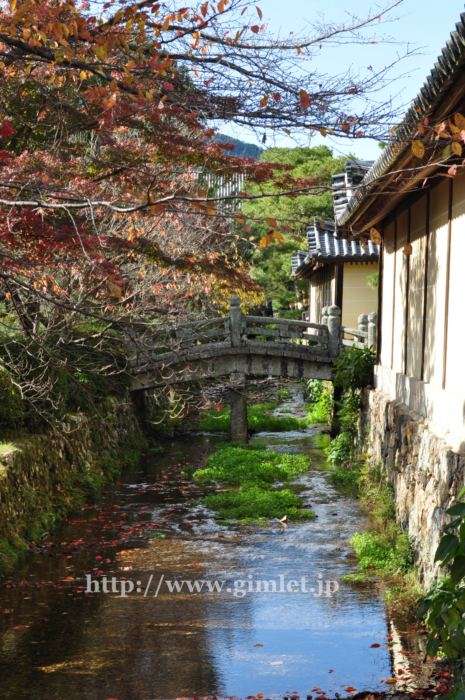 剣客商売-辻斬り-ロケ地写真-大覚寺御殿川