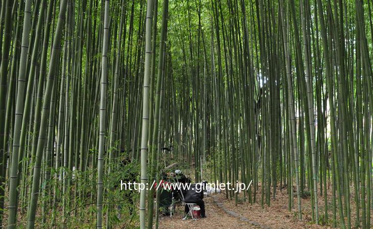 大覚寺〜時代劇京都ロケ地写真