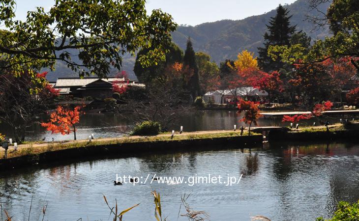 大覚寺〜時代劇京都ロケ地写真