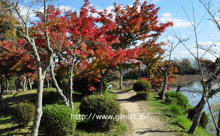 大覚寺〜時代劇京都ロケ地写真