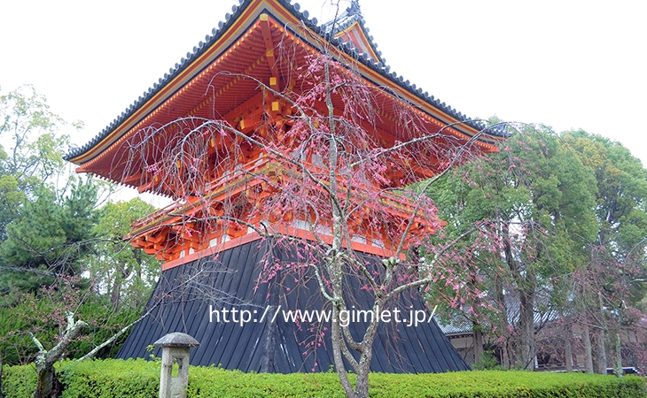 仁和寺〜時代劇ロケ地写真